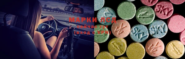 дмт Аркадак