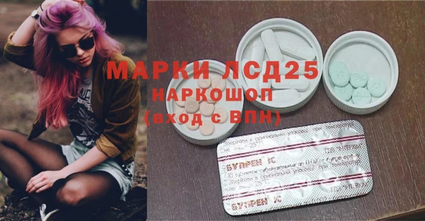 эйфоретик Арсеньев