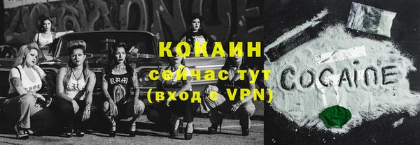 эйфоретик Арсеньев
