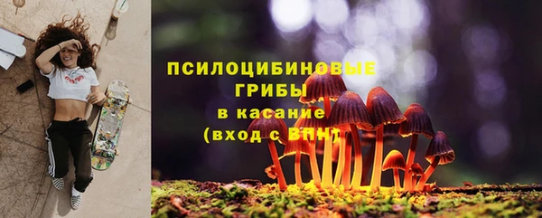 дмт Аркадак