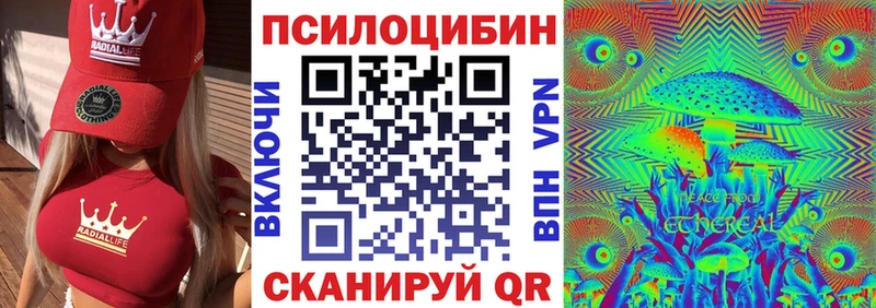 где купить наркотик  даркнет клад  Галлюциногенные грибы прущие грибы  Северобайкальск  omg ссылки 